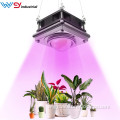 /msite/products/detail/productid/58222798/id/679434.html